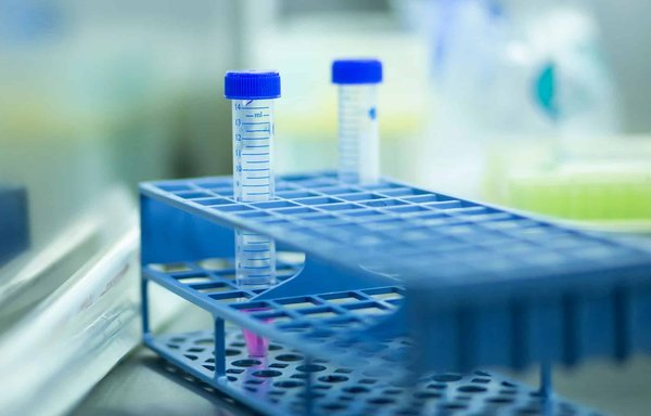 Test de pureté : quel est le genre de questions dans ce quizz ?